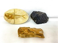 Fish fossil, petrified wood and other mineral