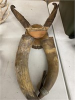 Antler powder horns; mounted antlers