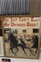 HORSE RACING POSTER FRAMED 21"X26"