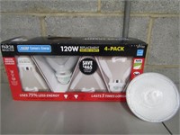 Floodlight Light Bulbs