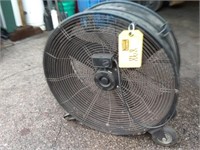 Fan