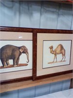 4 animal prints