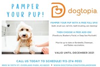 Dogtopia of Overland Park Spa Package
