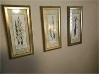 3 Matching Carol Robinson Floral Framed Prints