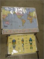 Laminated World Map & Exercise/Muscle Guide