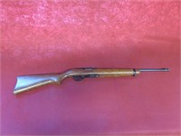 Ruger 10/22 .22 Cal Rifle