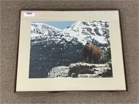 Charles Sleicher Enlarged Photo of a Brown Bear