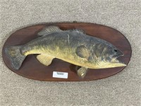 Vintage Bass Fish Mount on Oval Wooden Plaque
