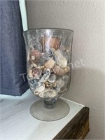 11in Glass Vase Filled with Sea Shells