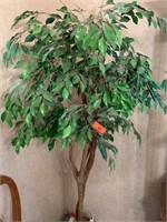 2PC FICUS TREES AND A LOT OF DECOR