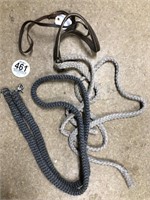 Tag #461 Tie-Down & two lead ropes