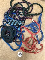Tag #298 Two Rope Halters & 7 Lead ropes