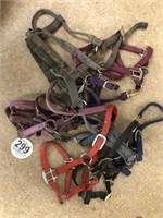 Tag #199 Bundle of Small Halters