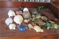 Collection of turtles