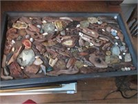 Rock, wood and shell collection