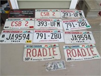 Wisconsin License Plate Lot