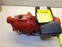 RED LION 3/4 HP Pump