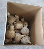 Box Of Gourds