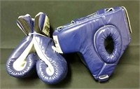 Fairtex 12oz boxing gloves and padded head