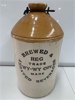 1 Gallon WY-WY Coy Brewed Aerated Beverages