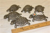 6 - Turtles