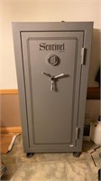 Sentinel gun safe