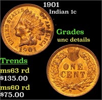 1901 Indian Cent 1c Grades Unc Details