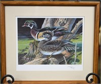 Wood Duck Print by Don Kloetzke 2004