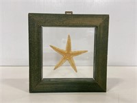 Real starfish in wood frame