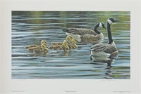 Robert Bateman's "Canada Geese With Young" Limited