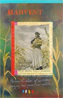 Jane Ash Poitras's "Harvest" c2004 Original Painti