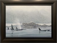 Robert Bateman's "Orca Procession" AP Canvas