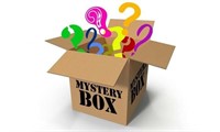 Fun Spin Mystery Wholesale Lot