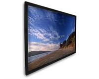 DRAGONFLY $818 Retail PROJECTION SCREEN 
 145