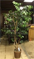 faux ficus tree