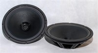 Lot of two Large Speaker Cones