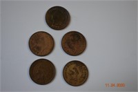 5- Indian Head Pennies