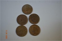 5- Indian Head Pennies