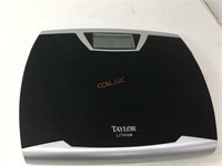 Taylor lithium electric scale