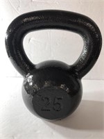 25 pound Cast Kettlebell- Power Up!-New