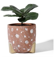 New POTEY 051902 Cement Planter Pot - 5.5 Inch