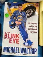 "IN THE BLINK OF AN  EYE"-BY MICHAEL WALTRIP