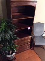 Bookcase, guest chair, & office plant