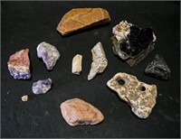ROCKS & MINERALS, FOSSILS COLLECTION 4