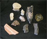 ROCKS & MINERALS, FOSSILS COLLECTION 5