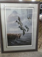 Lynn Kaatz Framed Duck Print - "The Bluebills"