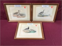 Set Of Three P.S. Duval Colored Lithos