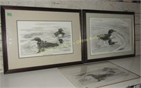 Loon Prints Framed & Unframed