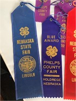 Early Awards Ribbons and Collector Felt Pennant