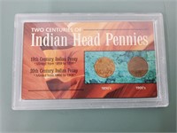 Two Centuries of Indian Head Pennies